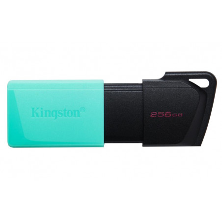 DataTraveler Kingston 256GB 3 2