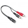 Adapt  Jack 3 5mm Stereo Hembra a 2RCA Macho HAMA