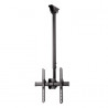 Soporte TV Techo 400x400 32-65´´ Negro