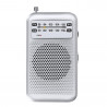 radio AM FM gris WIRBOO